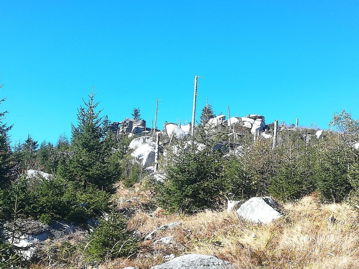Ferienhof Schaubmeier Klaffer am Hochficht Dış mekan fotoğraf