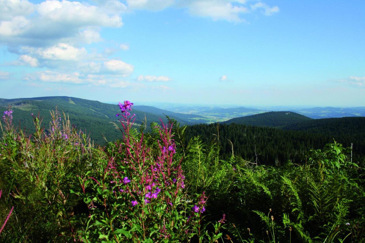 Ferienhof Schaubmeier Klaffer am Hochficht Dış mekan fotoğraf